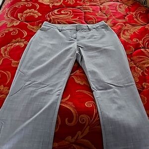 Express Design Studio Editor Pants